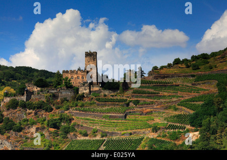 Château gutenfels, aka caub château, siège sur la ville de kaub, Allemagne Banque D'Images