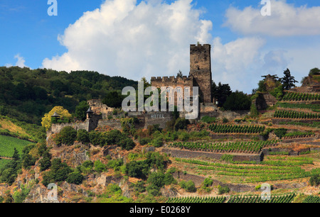 Château gutenfels, aka caub château, siège sur la ville de kaub, Allemagne Banque D'Images