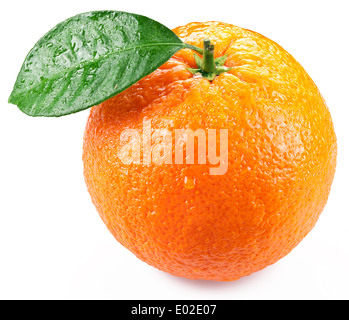 Avec des feuilles Orange isolé sur fond blanc. Image avec une profondeur de champ maximale. Banque D'Images