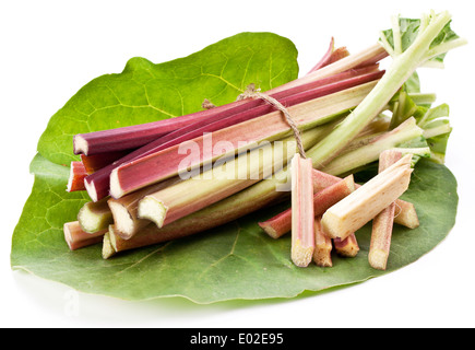 Les tiges de rhubarbe sur un fond blanc. Banque D'Images
