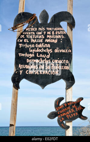 Zone de protection des tortues, signe, parc national de Cabo Pulmo, près de Punta Arena, Baja California, Mexique Banque D'Images