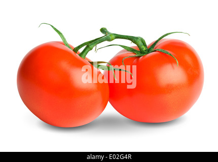 Tomates grappe isolé sur fond blanc Banque D'Images