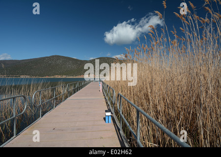 Agios Achilios bridge Mikri Prespa Lake, Grèce Banque D'Images