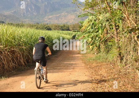 Coureur cycliste australien femelle à vélo sur une route de campagne dans les régions rurales de l'Australie. Banque D'Images