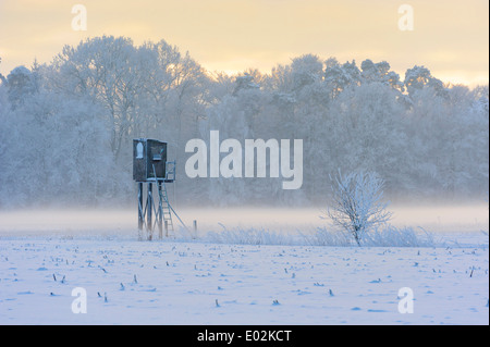 Masquer en hiver, district de Vechta, Niedersachsen, Allemagne Banque D'Images