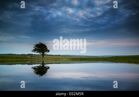 Moody ciel orageux reflète dans l'étang de rosée paysage de campagne Banque D'Images