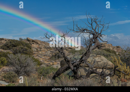 En arc-en-ciel -Anza Borrego State Park près de Borrego Springs, Californie Banque D'Images