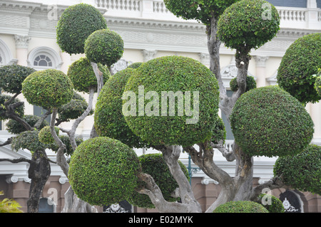 Arbre topiaire en raison de le Grand Palace, Bangkok, Thaïlande. Banque D'Images