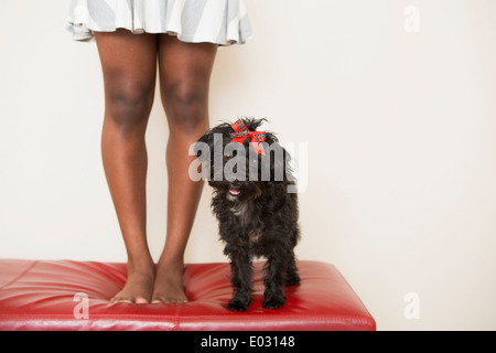 Une jeune fille et son petit chien noir debout sur un tabouret. Banque D'Images