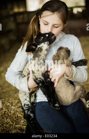 Une fille tenant deux petits agneaux. Banque D'Images