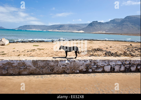 Un village sur la côte orientale de l'île de São Vicente appelé Baia das Gatas - La Baie des Requins - Cabo Verde en Afrique. Banque D'Images