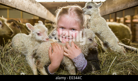 Jeune fille avec les agneaux nouveau-nés sur la ferme familiale, dans l'ouest de l'Islande Banque D'Images