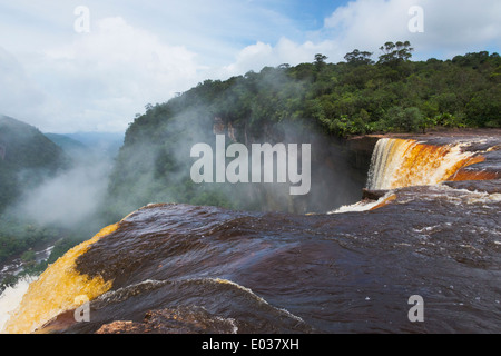 Kaieteur Falls, Guyana Banque D'Images