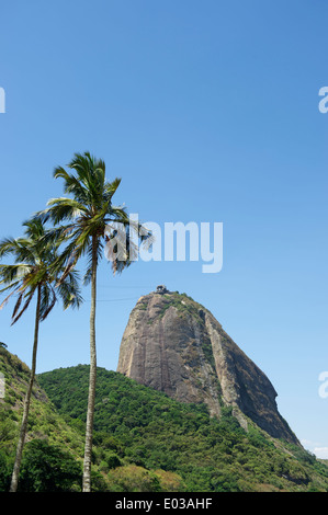 Pao de Acucar Sugarloaf Mountain debout dans ciel bleu clair avec des palmiers Rio de Janeiro Brésil Banque D'Images