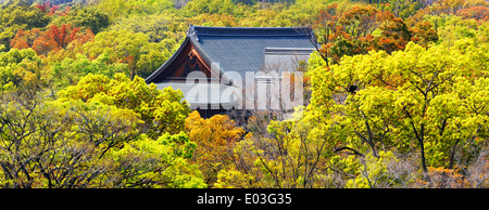 Temple de forest close up Banque D'Images