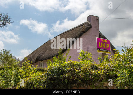 Dans les régions rurales de l'UKIP, s/n et de chaume,devon,mortier de chaux,gable,élections européennes,Nigel Farage, signe de l'ukip dans le devon Banque D'Images