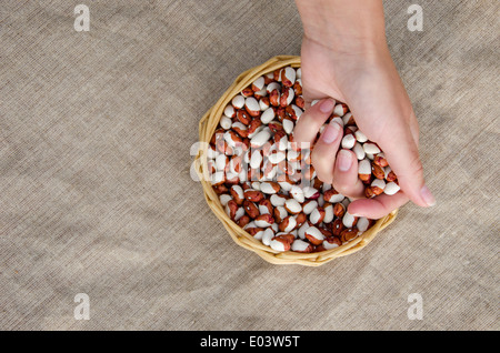 Femme palmful de petits haricots secs sur le panier en osier plein de haricots sur fond lin Banque D'Images