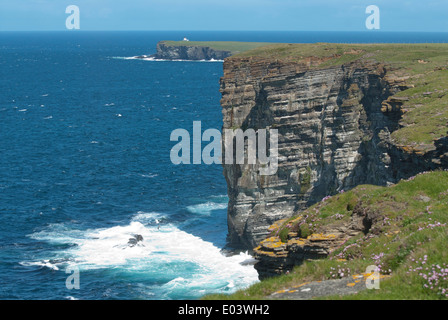 Marwick Head, RSPB réserve faunique, mainland, Orcades, en Écosse. Les falaises abritent de nombreux oiseaux marins. Banque D'Images