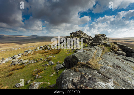 Après-midi de printemps à West Mill Tor, Dartmoor, dans le Devon, Angleterre. Banque D'Images