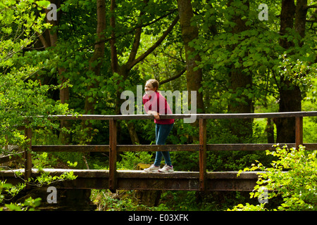 Onze ans, fille en rouge haut appuyée sur un pont de bois Près de Grasmere dans le Lake District National Park Cumbria England UK Banque D'Images