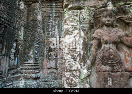 Apsara, sculptures sur pierre sur le mur de Ta Prohm temple Angkor, Siem Reap, Cambodge Banque D'Images