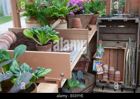 Gabriel Ash serre intérieur pot de potage avec pak choi en culture dans d'anciens pots de terre cuite jardinage sans plastique RHS Chelsea Flower show 2013 Royaume-Uni Banque D'Images