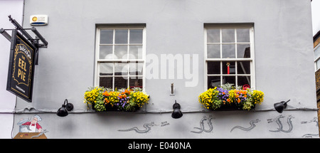 L'Anguille Pie pub extérieur - de signer, de fleurs colorées dans les jardinières et cartoon, Church Street, London, Greater London, UK Banque D'Images