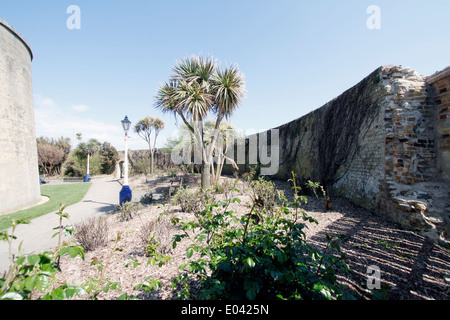 La paroi extérieure et le fossé défensif Tour Martello numéro 73 à Eastbourne connu comme le souhait Tower, l'un des quatorze tours construites Banque D'Images