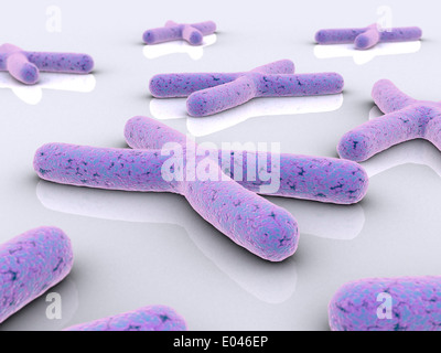 Image conceptuelle du chromosome. Banque D'Images
