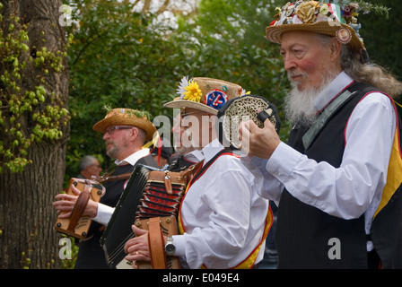 Musiciens avec un groupe de danse jouant pendant des fêtes d'anniversaire de William Shakespeare à Stratford upon Avon. Banque D'Images