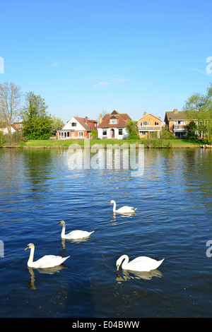 Tamise de Truss's Island, Staines-upon-Thames, Surrey, Angleterre, Royaume-Uni Banque D'Images