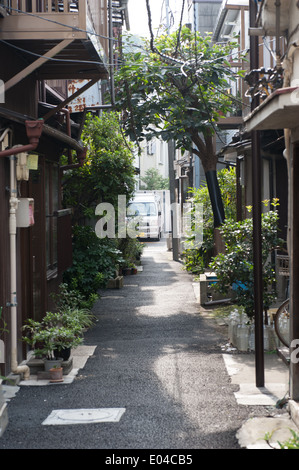 Ruelle de Nezu, Tokyo, Japon Banque D'Images