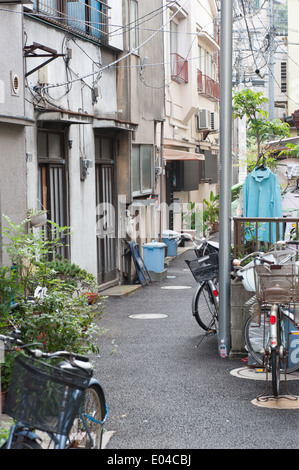 Ruelle de Nezu, Tokyo, Japon Banque D'Images