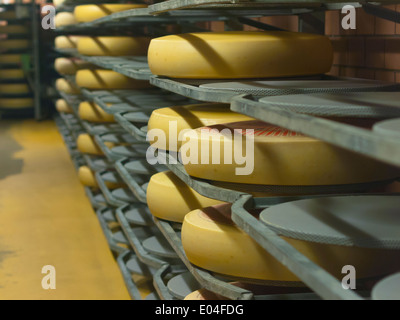 Roues de fromage suisse stockées pour le vieillissement dans une fromagerie dans l'Emmental, Suisse Banque D'Images