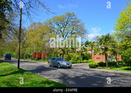 Route bordée de Christchurch, Virginia Water, Surrey, Angleterre, Royaume-Uni Banque D'Images