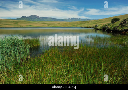 Highmoor, KwaZulu-Natal, Afrique du Sud, vue du château des géants pics dans Drakensberg, reflet de la montagne dans le lac, paysage Banque D'Images