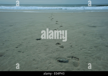 Eastern Cape, Afrique du Sud, les traces de pas dans le sable humide menant à la mer le jour sombre, paysage Banque D'Images