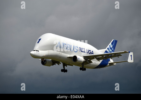 Beluga d'Airbus à Toulouse Banque D'Images