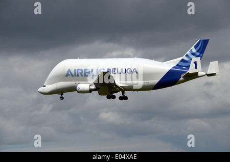Beluga d'Airbus à Toulouse Banque D'Images