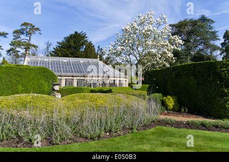 Les émissions dans le parc de Château Ashby Gardens, fleur de printemps sur l'arbre à droite Banque D'Images