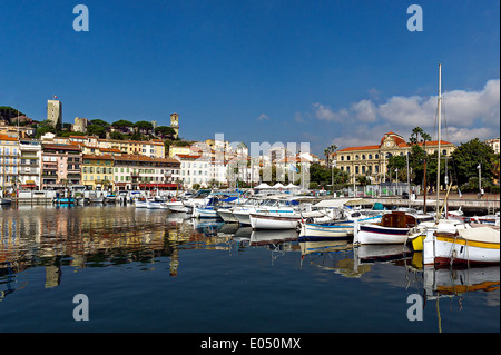 Europe, France, Alpes-Maritimes, Cannes. La vieille ville et du vieux port. Banque D'Images