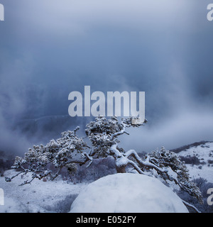 Tempête de neige à la montagne Demerdzhi, Crimea, Ukraine Banque D'Images