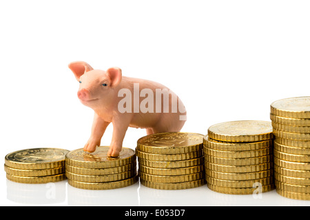 Un cochon se dresse sur une pile de pièces de monnaie. L'augmentation des coûts pour l'alimentation animale dans l'agriculture. Les rendements d'amortissement avec le porc, Ein Schwein steht auf e Banque D'Images