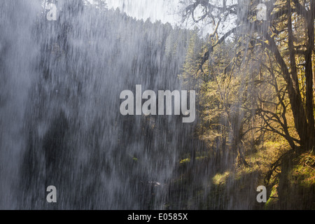 Cascade de derrière et bien allumé arbres de l'autre côté Banque D'Images