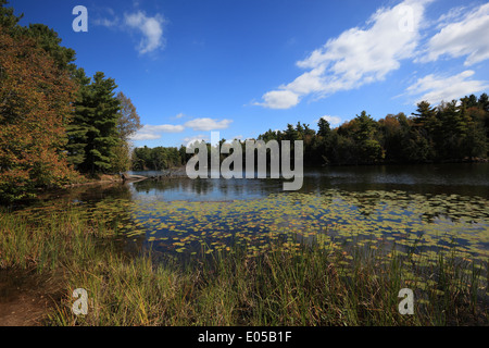 Lac de la Murphy's Point Parc Provincial de l'Ontario, au début de l'automne, le 27 septembre 2013 Banque D'Images