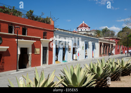 Maisons coloniales Macedonio Alcala La Ville d'Oaxaca au Mexique Banque D'Images