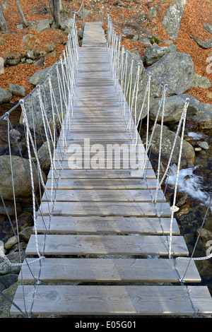 Footbrigde en bois suspendu par câbles en acier sur le ruisseau de montagne dans la région de tha Alpes italiennes. Banque D'Images