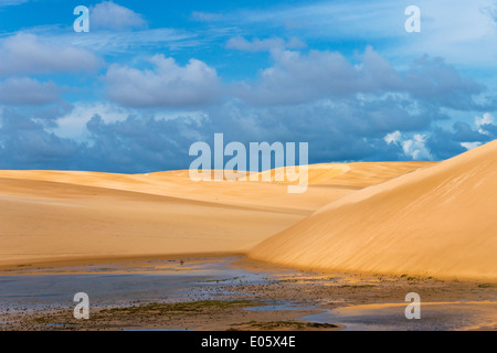 Dans Lencois Maranheinses des dunes de sable du Parc National, l'État de Maranhao, Brésil Banque D'Images