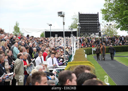 Newmarket, au Royaume-Uni. 06Th Mai, 2014. Newmarket racecourse avec anneau au cours de la parade du festival 2014 guinées de Newmarket. Credit : Action Plus Sport/Alamy Live News Banque D'Images