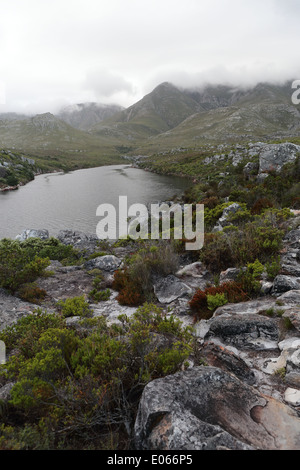 Rives de la rivière Palmiet sur l'image avec l'Hottentots-Holland Mountains en arrière-plan Banque D'Images